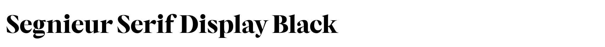 Segnieur Serif Display Black image